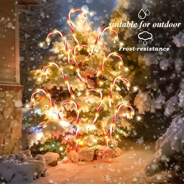 Solar Candy Cane Lights